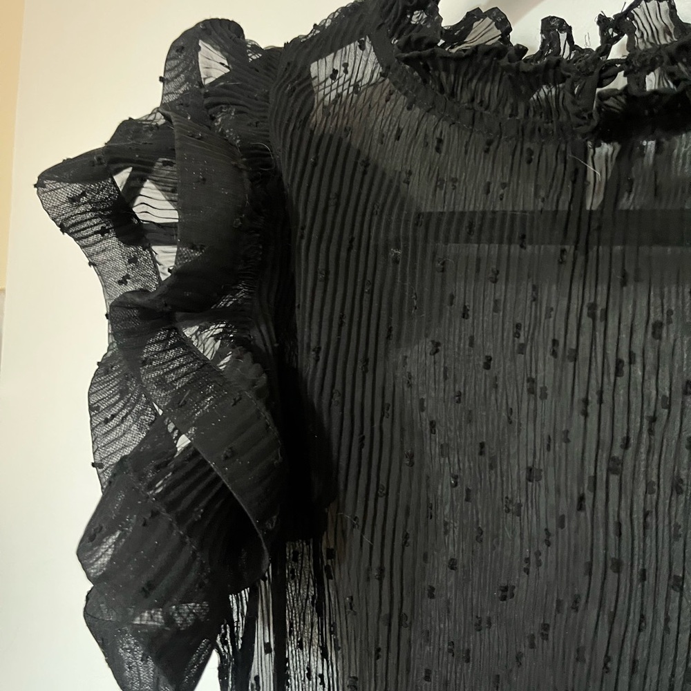 Sheer Black Ruffle Top - Picture 4 of 4